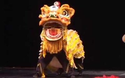 Chinese Lion Dance Captivates Audience